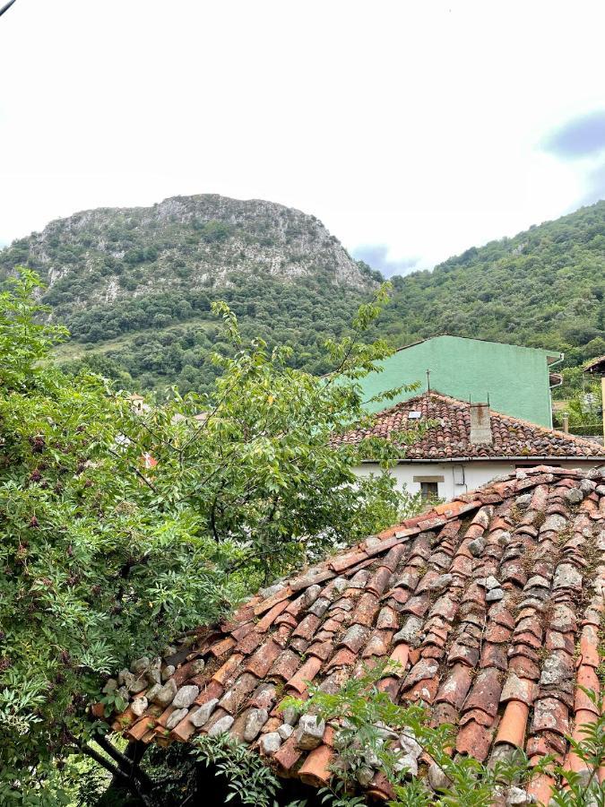 Piso San Andres - Picos De Europa Apartment กาเรญา เด กาบราเลส ภายนอก รูปภาพ